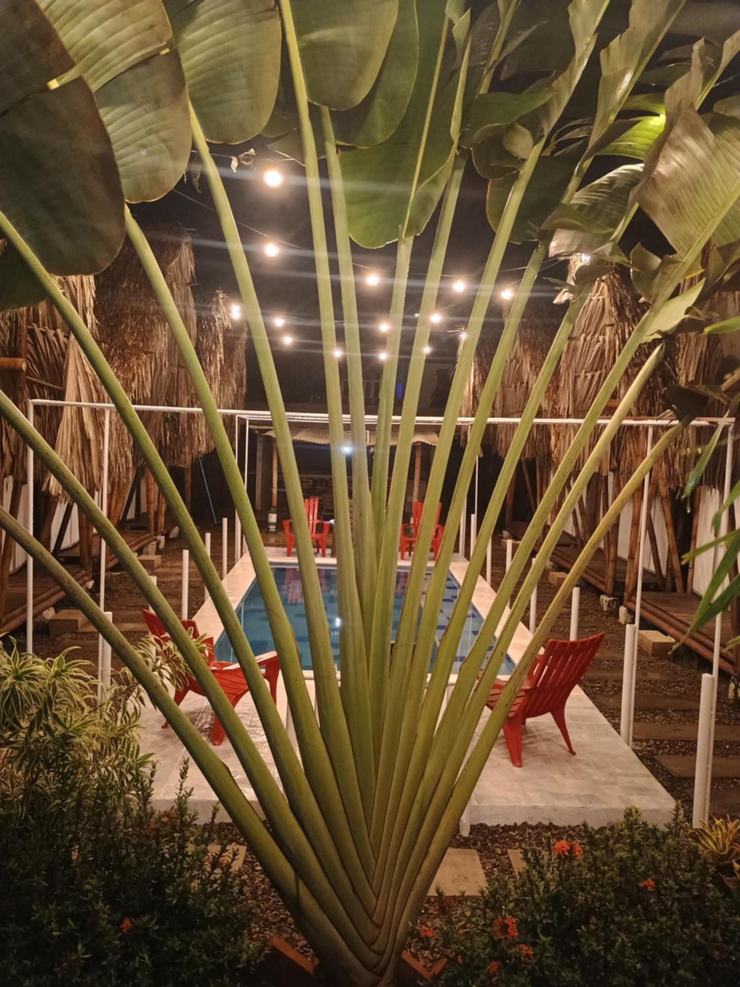 Cabana Beach 팔로미노 외부 사진